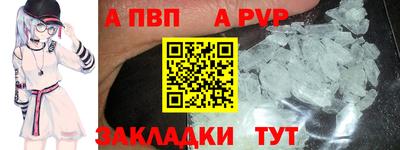 сатива Гай