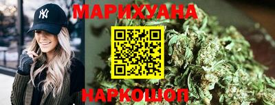 сатива Гай