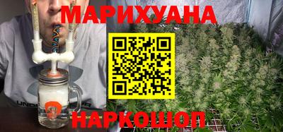 трава Гатчина