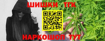 сатива Гай