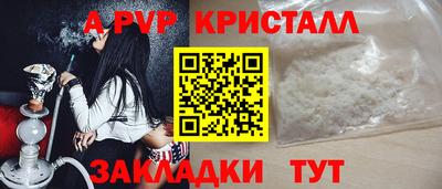 сатива Гай