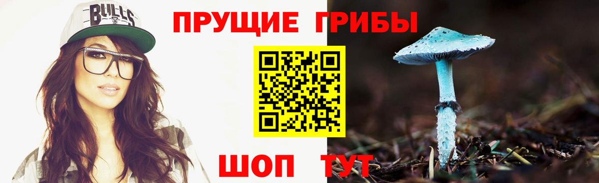 Галлюциногенные грибы мицелий  Галлюциногенные грибы Psilocybe  Вход с VPN  Муравленко 